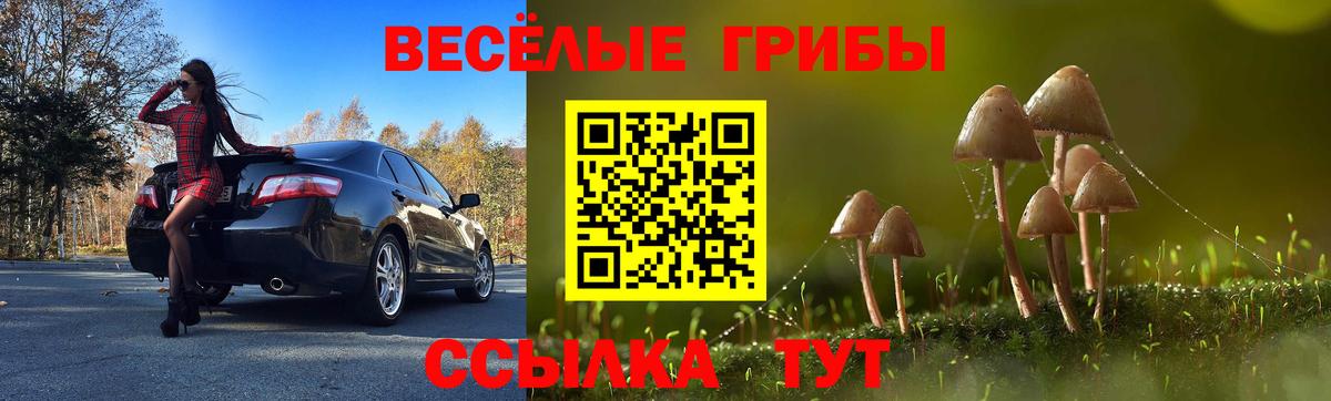 Галлюциногенные грибы MAGIC MUSHROOMS  Вход с VPN  Кузнецк 